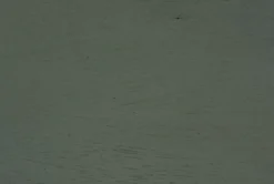 Delmar Teal Dining Chair Set Of 2 -Furniluxe 304368 blue wood dining chair material 76